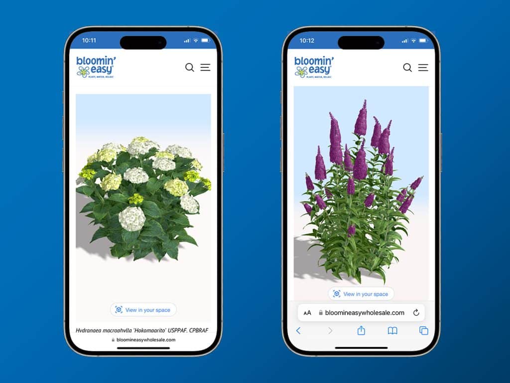 bloomin' easy augmented reality