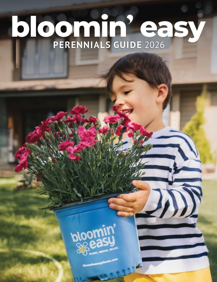 perennials guide 2026