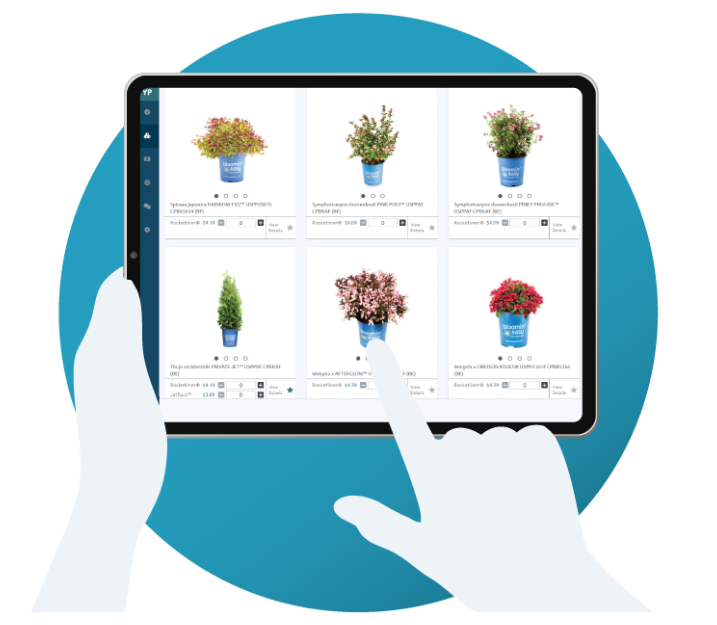 youngplants buyer's portal on the ipad