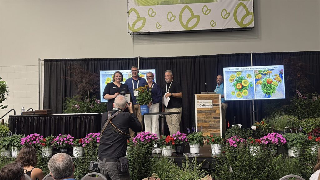 solar sister winds retailers choice award