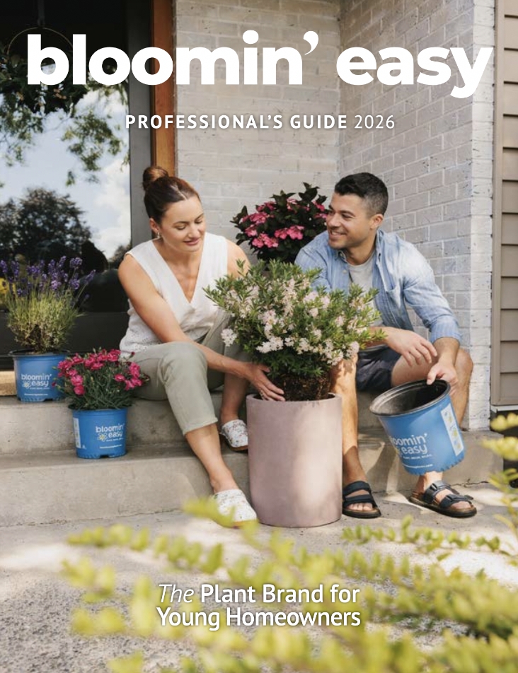 professional guide 2026