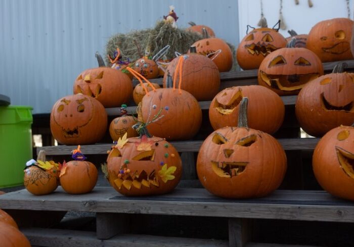 Fall Harvest 2023